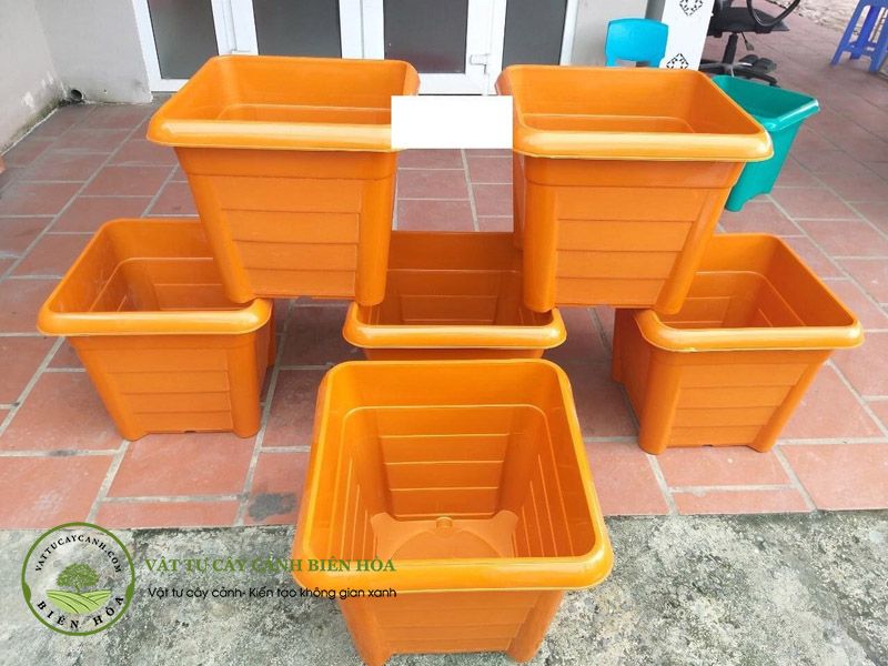 Chậu nhựa trồng cây