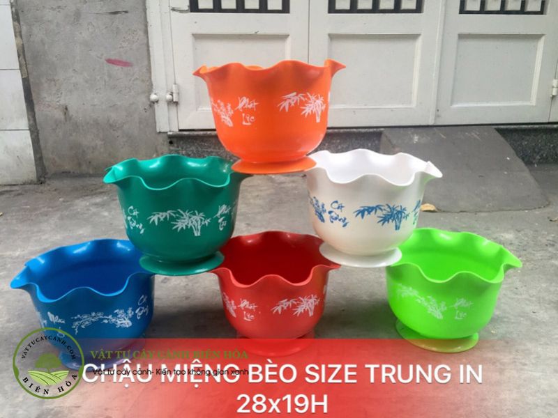 Chậu miệng bèo in