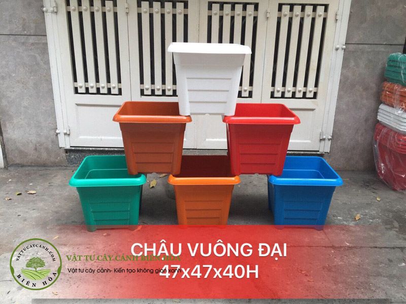 Chậu vuông đại