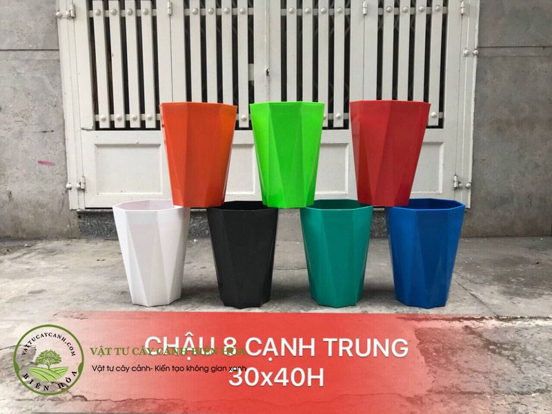 Chậu 8 cạnh 