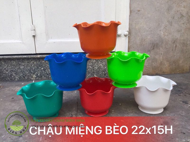 Chậu miệng bèo