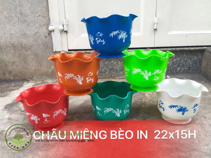 Chậu miệng bèo in