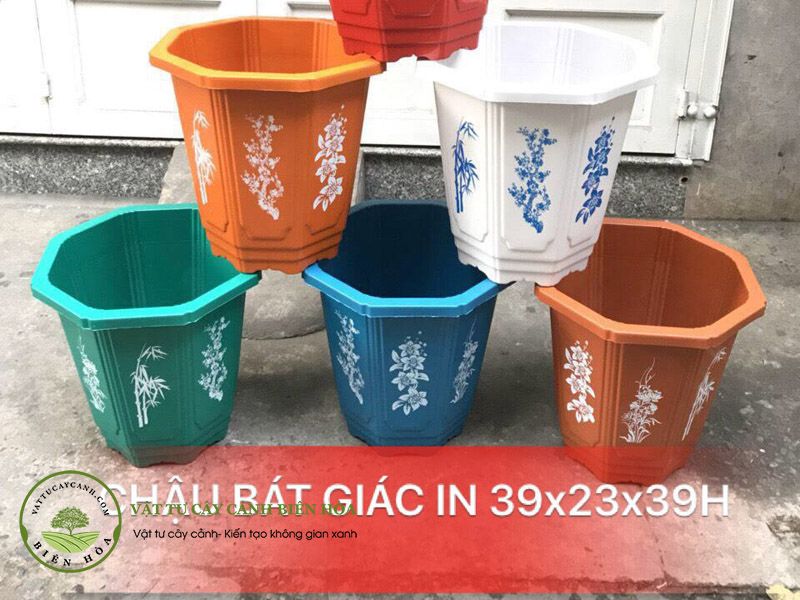 Chậu bát giác in