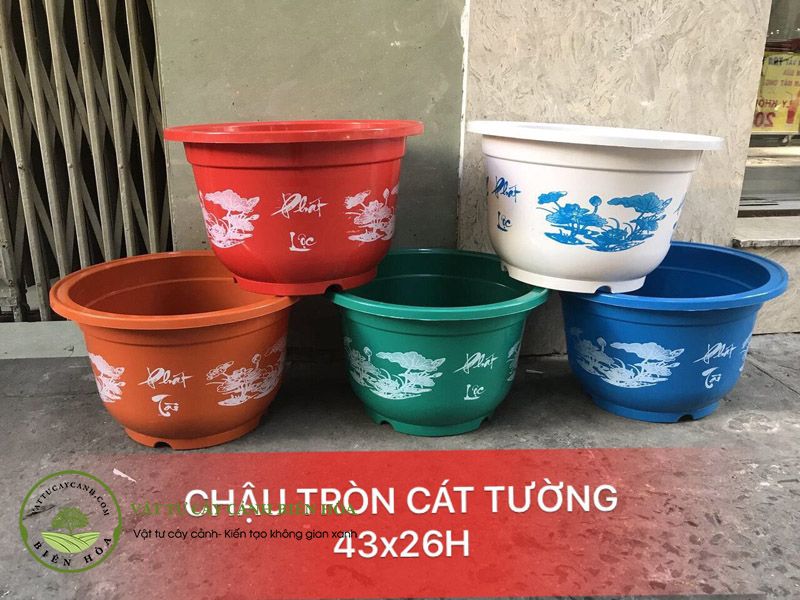 Chậu tròn cát tường 