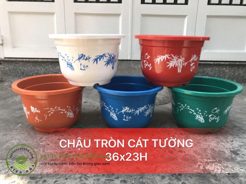 Chậu tròn cát tường 