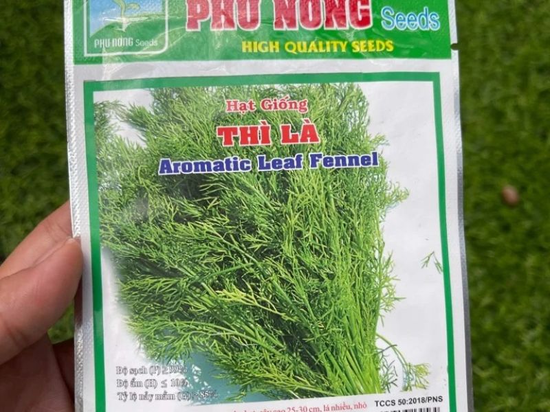 Rau Thì Là - 5gram Phú Nông