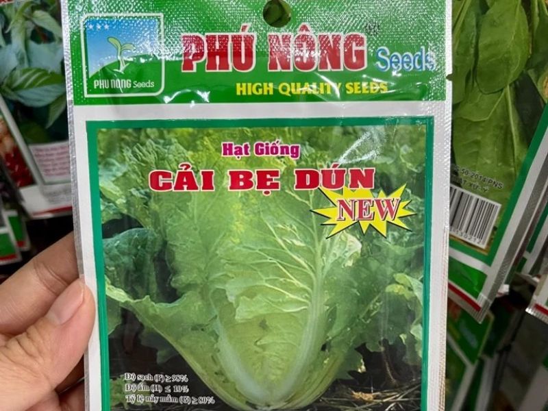 Cải bẹ dún 10gram- Phú Nông