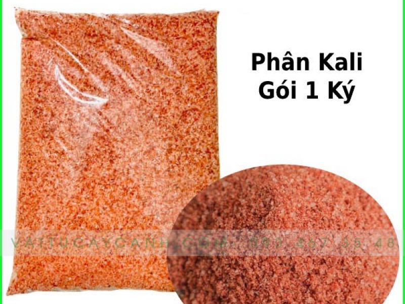 Phân Kali Ra Chồi, Đậu Quả, Trái Ngon Ngọt