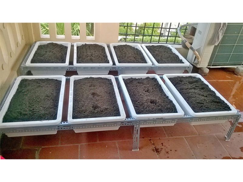 Khay trồng rau thông minh 2 đáy màu trắng