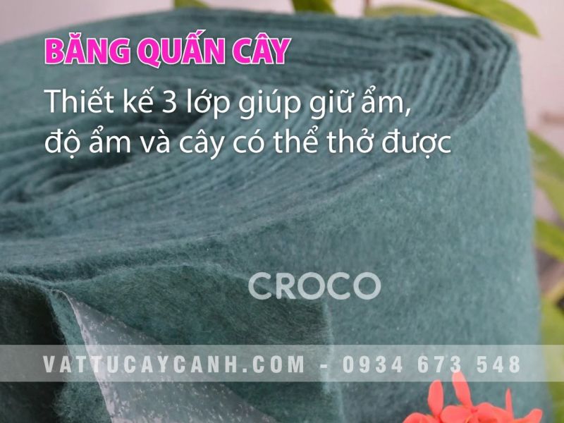 Băng cuốn cây