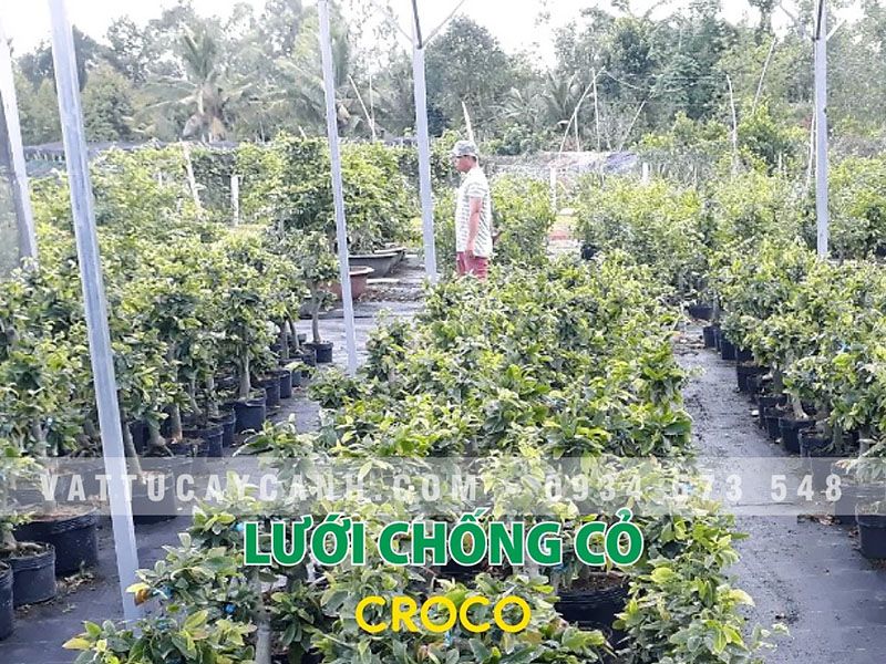 Lưới vải chống cỏ 