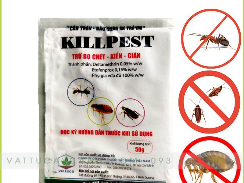 Phấn Diệt Kiến, Bọ Chét, Gián KillPest Dạng Bột