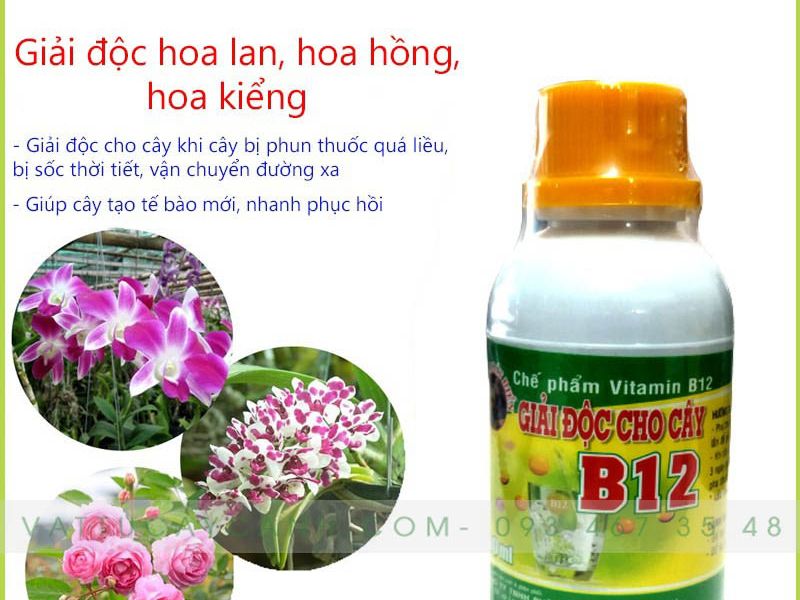 Chế Phẩm Vitamin B12 Giải Độc Cho Cây Trồng 