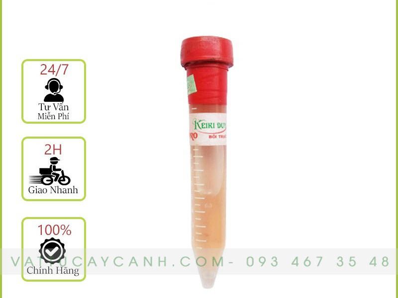Keiki Duy Đỏ - Kích Mầm Và Chồi Phong Lan Dạng Bôi Trực Tiếp