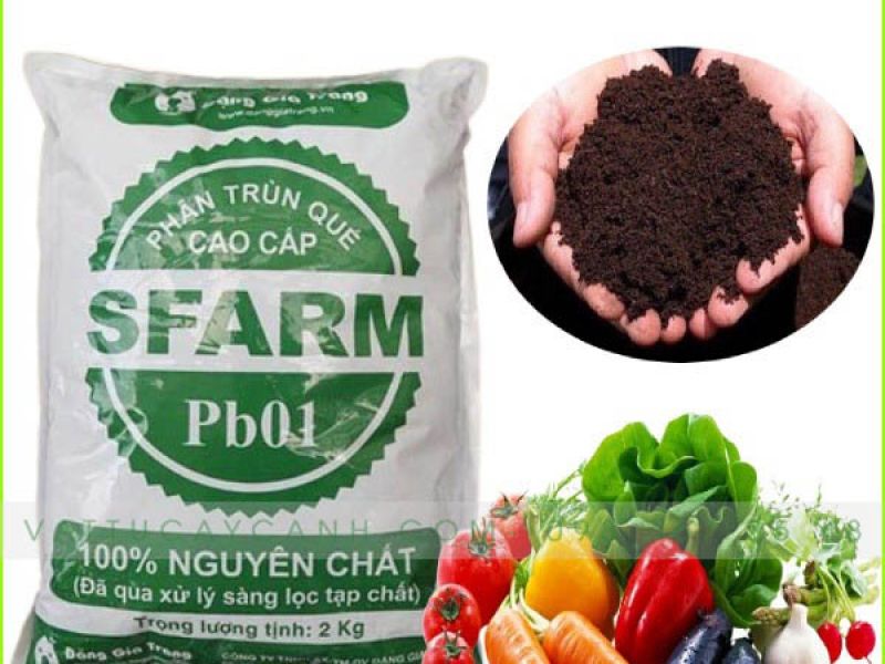 Phân Trùn Quế Cao Cấp Nguyên Chất Sfarm - Trồng Rau Màu Và Hoa Kiểng